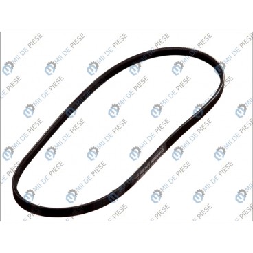 Curea transmisie canelata