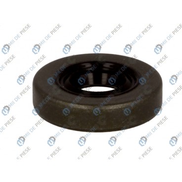 Etansare cutie viteze/element etansare