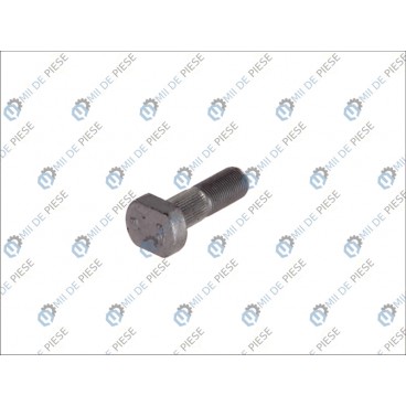 Raw Hex bolts