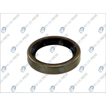 Garnitura cutie viteze