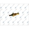 Senzor tempertura lichid racire
