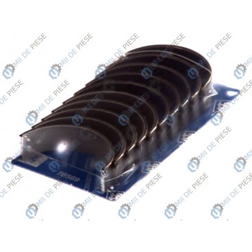 Cuzineti arbore cotit (set)