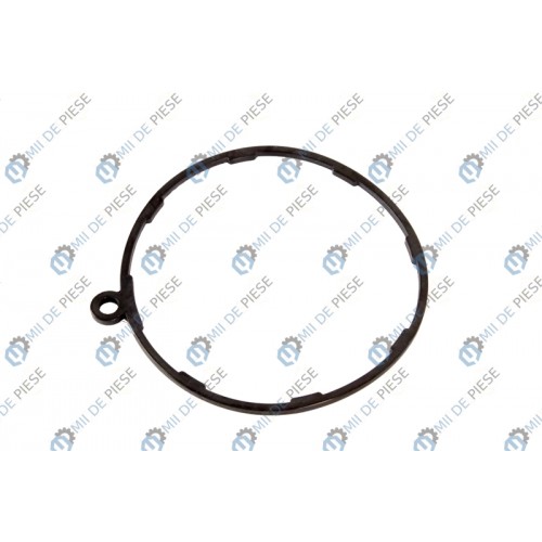 Rubber O-Rings