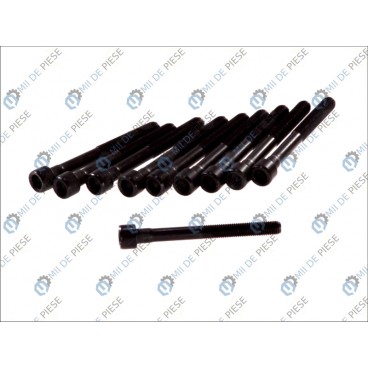 Set bolturi chiulasa