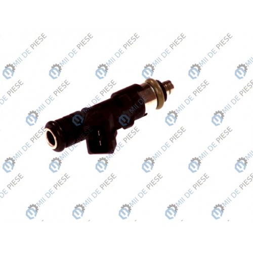 Injector combustibil