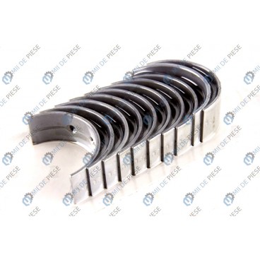 Cuzineti arbore cotit (set)