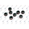 Set complet garnituri, motor