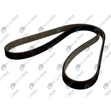 Curea transmisie canelata