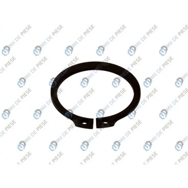 Element mecanism sincronizare