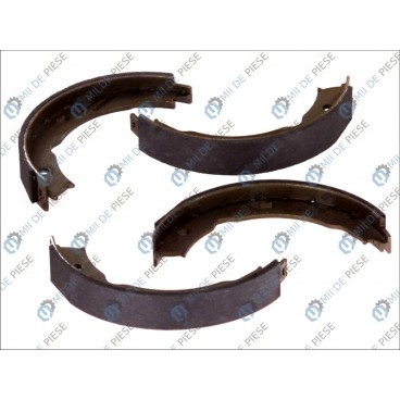 Sabot frana