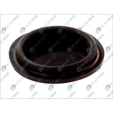 Diafragma servo-motor