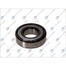 Standard ball bearing