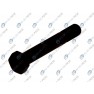Leaf spring fixing bolt