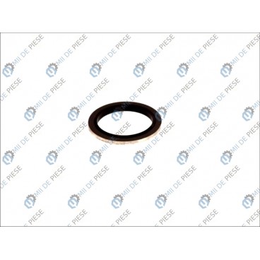 Garnitura buson ulei