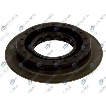 Garnitura diferential