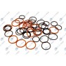 Set complet garnituri, motor