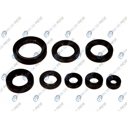 Set garnituri motor