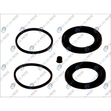 Kit reparatie etrier frana