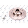 Brake disk with bearing