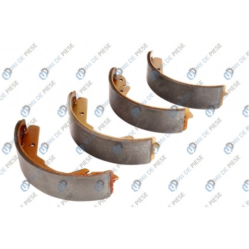 Sabot frana