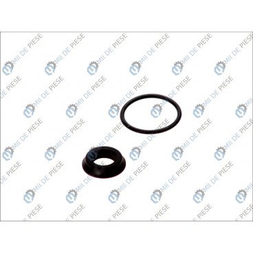 Kit reparatie pompa ambreiaj