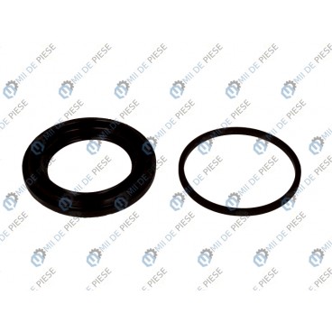 Kit reparatie etrier frana