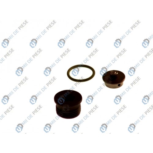 Kit de reparatie pompa CR