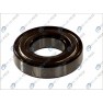 Standard ball bearing