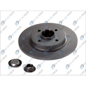 Brake disk with bearing