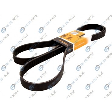 Curea transmisie canelata