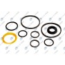Kit reparatie etrier frana