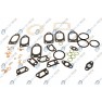 Set garnituri motor