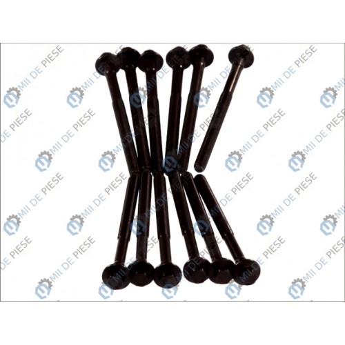 Set bolturi chiulasa