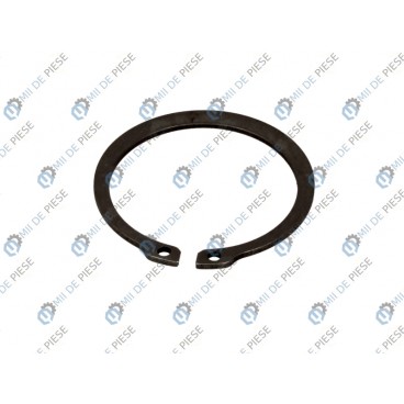 Element mecanism sincronizare