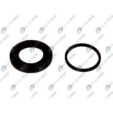 Kit reparatie etrier frana