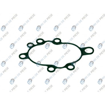 Garnitura pompa combustibil