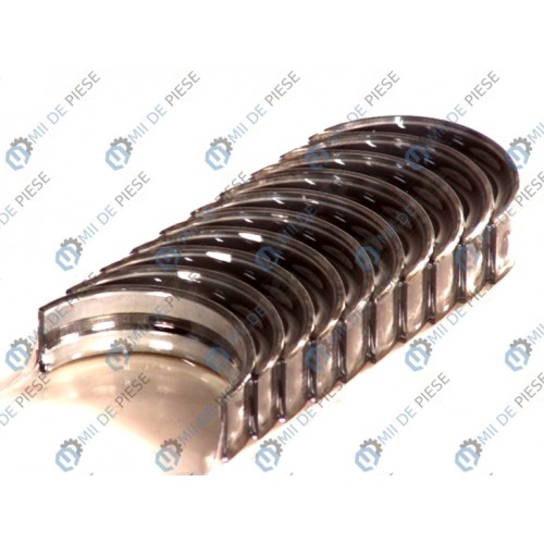 Cuzineti arbore cotit (set)