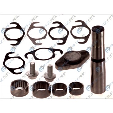 Kit reparatie pivot