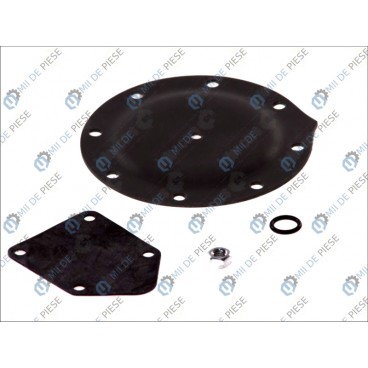 Kit reparatie pompa vacuum