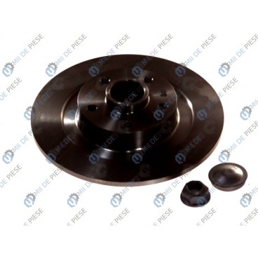 Brake disk with bearing