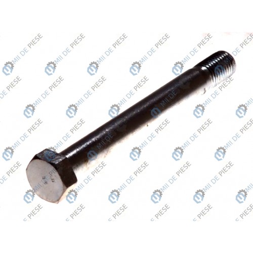 Leaf spring fixing bolt