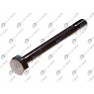 Leaf spring fixing bolt