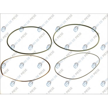 Set garnituri cilindru