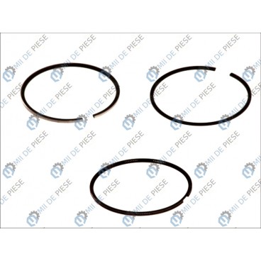 Segmenti piston