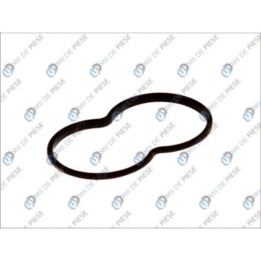 Garnitura termostat