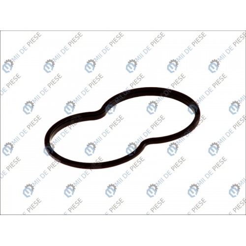 Garnitura termostat