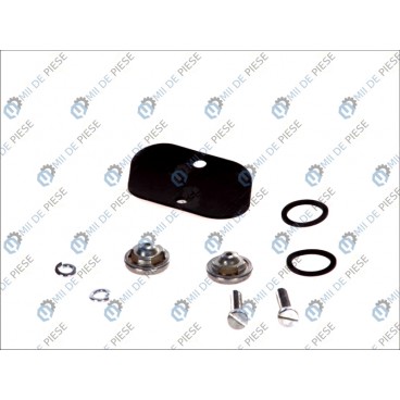 Kit reparatie pompa vacuum