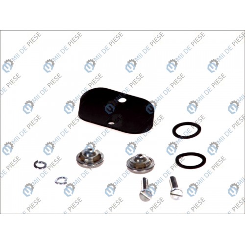 Kit reparatie pompa vacuum