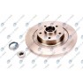 Brake disk with bearing