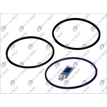 Set garnituri cilindru